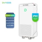 Baterie Dyness 14.336 kWh 51.2V LiFePO4 AutoIncalzire IP65 - PowerBrick Pro